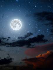 평범한 가이드 (完)