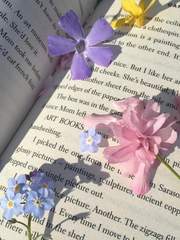 강해지는 일기 쓰기 🪐