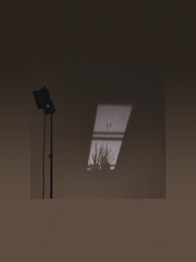 다정한 폐허(完)