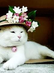 [슈짐] 민애옹씨의 휴가 (完)