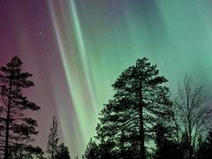 2020. 01. 30 [A year]