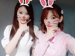 이상한 나라의 고양이