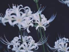 사수자리에 새겨진 흔적