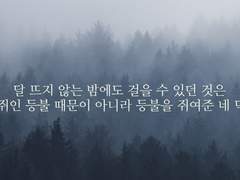 오늘도 당신을,