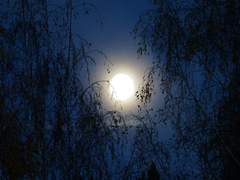 [켄히나]나는 너와의 추억을 잃고 싶지않았기에 上