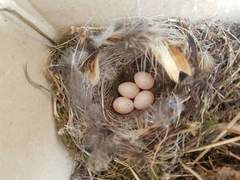 [3일차 조사] - 3번째