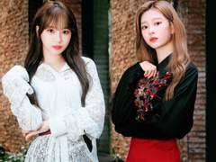 픽셀 퍼 인치 Pixels Per Inch