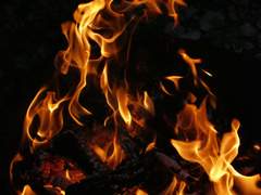 [중혁독자] 흔적기관 (1)