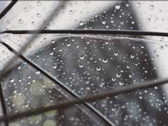 밤을 보는 눈 - 비 오는 날 새 디저트