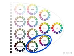 엑소 디오 퍼스널 컬러 분석