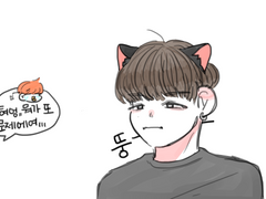 짐슈로 뚱한 윤기냥