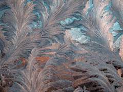 카나이 일리노아와 바다의 이야기