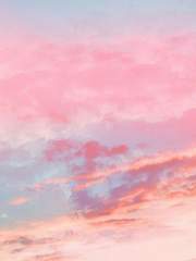 권순영 명예보호자 이석민