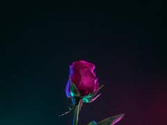 킬 더 메타포 下