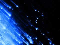 Full Fathom Five : 1