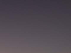 밤하와 에스텔라 레 아니타의 이야기