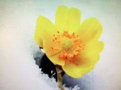 [전독시 × 정엘 크오]