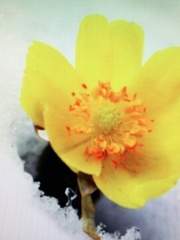 전독시 정엘 크오