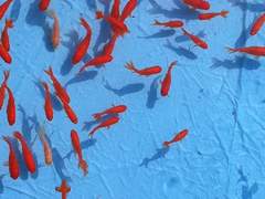 너에게 보낸다.