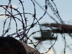 [나루고도] 일방적인 고백