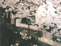 그드십 | 모두에게