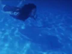 이토록 유약하고 아름다운 거짓