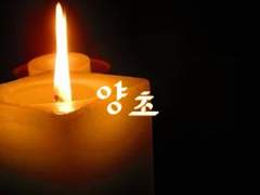 [마유륜]전력60분 양초