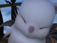 작은 조각들 (~20.02.25)