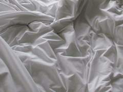 무장해제 武裝解除