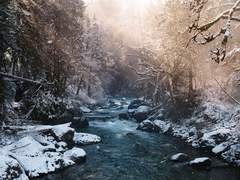 [송람성진] 적강선인삼고사 上