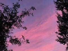 전 새벽이 좋아요 #2