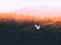 아직도 사랑을 꿈꿔?