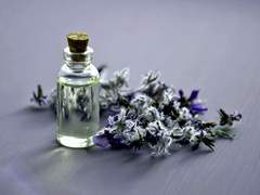 이사벨 제므닌과 칼라일 H 러더포드의 이야기