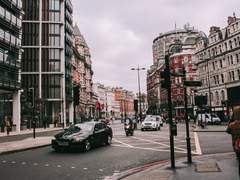 유기현에 관한 고찰