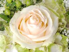 [또봇/셈한] 우리, 함께