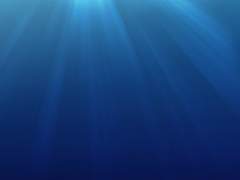 아쿠아의 꿈을 꾸는 미유