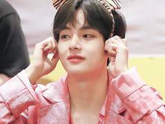 [뷔진] 버려진 햄찌의 호랑이 굴 적응기 下 (完)