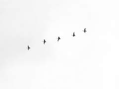 교환. 돌아가는.