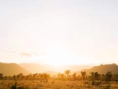 에덴, 캘리포니아 10