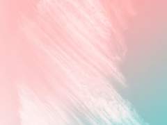 전체 공지사항 안내 (21.8.기준)