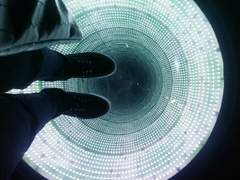 Beautiful Red Roses.