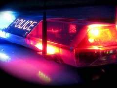 [뷔진] 폴리스, 플리스 01