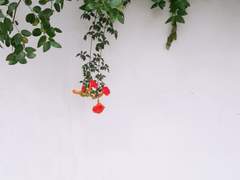 그 길 돌아, 다시 上