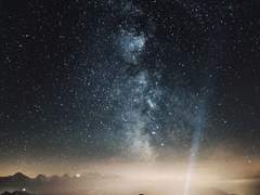 캘리그라피 백업