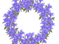 꽃 원형 브러시 4종 -유료소스