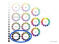 왕이보 퍼스널 컬러 분석