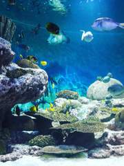 [오이스가]인생은 타이밍