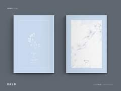 레디메이드 242. Blue