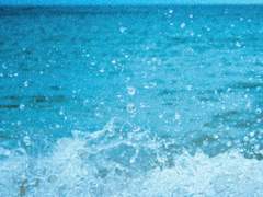 [명지원/1학년/XY/도서부]