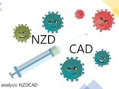 Forex NZDCAD 분석. FX마진거래. FX외환거래